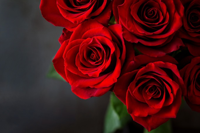 Why You Still Need To Buy Her Flowers Why You Still Need To Buy Her Flowers