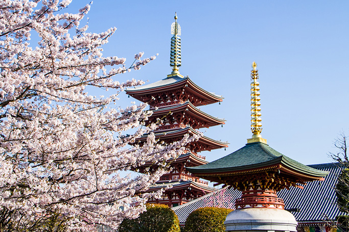 Why Japan Should Be The Next Country You Visit Why Japan Should Be The Next Country You Visit