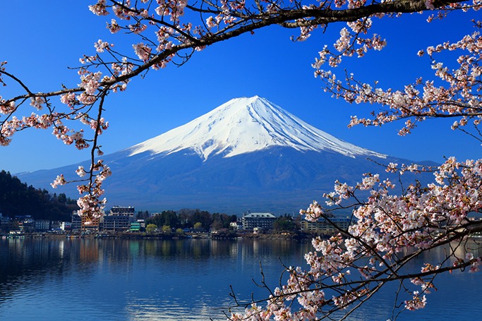 Why Japan Should Be The Next Country You Visit Why Japan Should Be The Next Country You Visit